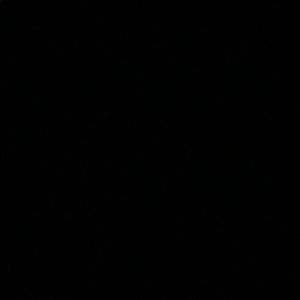 Meet your Posher, Amira